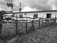 DSC3929