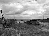 DSC3931