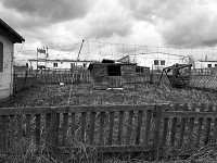 DSC3937