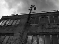 DSC3964